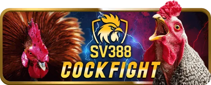 Hình ảnh minh họa cookie cần thiết cho đăng nhập an toàn của alo789 win